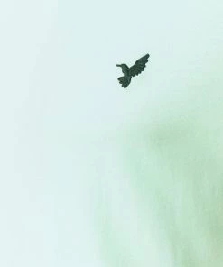 Réduction Pier One T-shirt basique t-shirts col rond homme -magasin Pier One aa75eabb00fe4d03a62c6a634ae2c33e